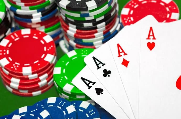 Deep Dive into Independent Gambling Business: How to Start a Turnkey Project Deep Dive into Independent Gambling Business: How to Start a Turnkey Project
