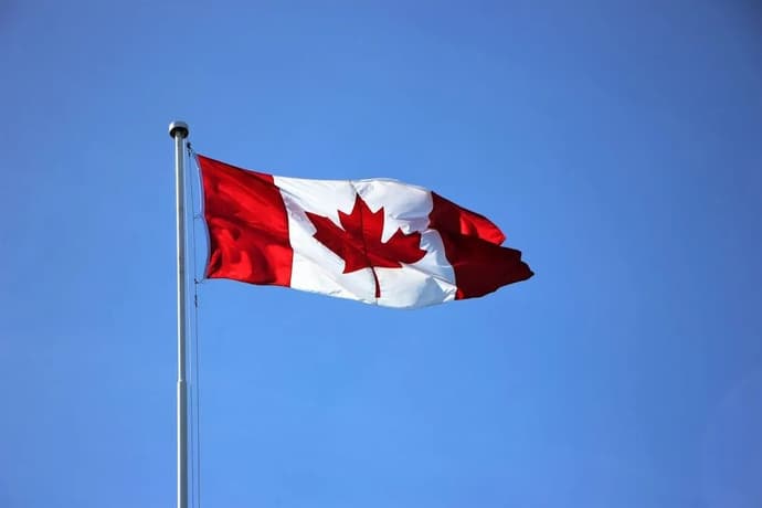 70% dos jogadores canadianos jogam jogos online: eis porque são o género mais popular 70% dos jogadores canadianos jogam jogos online: eis porque são o género mais popular