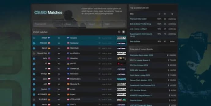 Game-Tournaments.com: Gennemgang af et eSports-websted. Foto 2