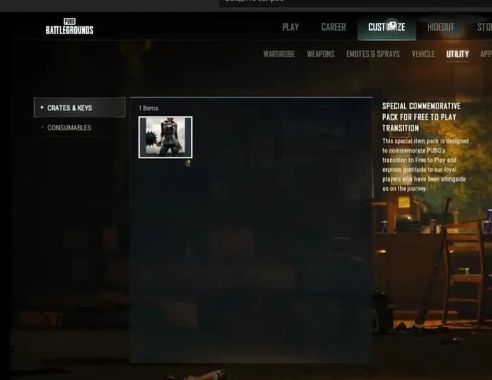 How to Get and Activate PUBG Special Commemorative Pack in PUBG: BATTLEGROUNDS?. Photo 6
