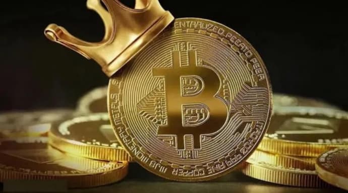 Why has Dogecoin grown 35% what awaits it in the future?. Photo 3