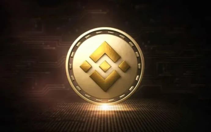 Why has Dogecoin grown 35% what awaits it in the future?. Photo 6