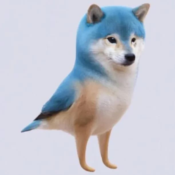 Why has Dogecoin grown 35% what awaits it in the future?. Photo 13
