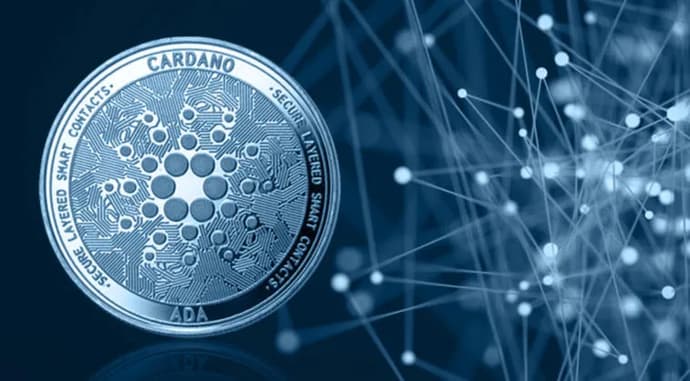 Top 3 des altcoins avec des fondamentaux solides. Photo 4