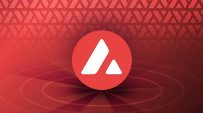 Top 3 des altcoins avec des fondamentaux solides. Photo 5