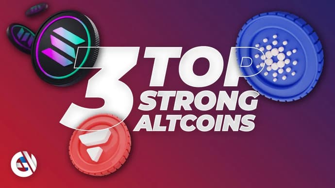 Top 3 des altcoins avec des fondamentaux solides Top 3 des altcoins avec des fondamentaux solides