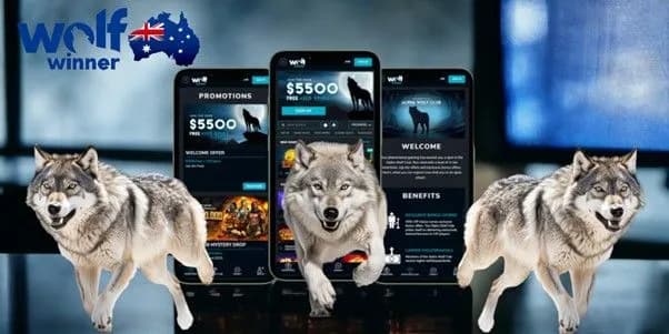 Kilka informacji dotyczących Wolf Winner Casino AU Kilka informacji dotyczących Wolf Winner Casino AU
