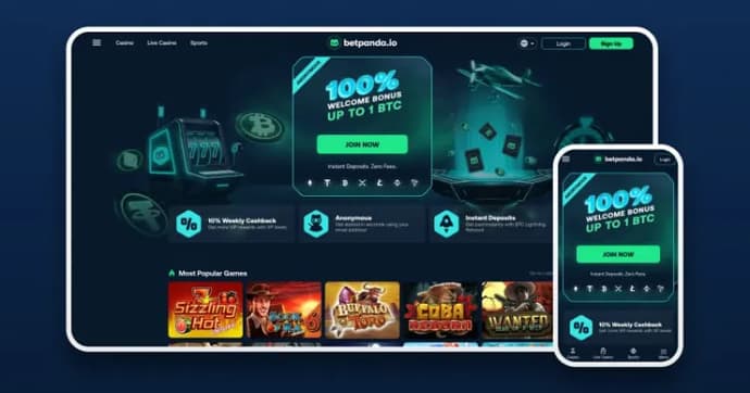 Best Bitcoin Casinos And Crypto Casino Sites in 2024 5
