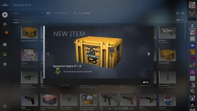 The most Expensive CS Cases - June 2025 6