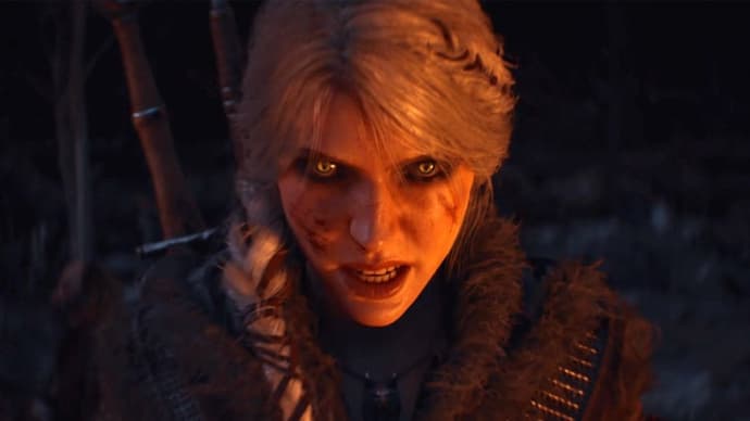 witcher 4 price