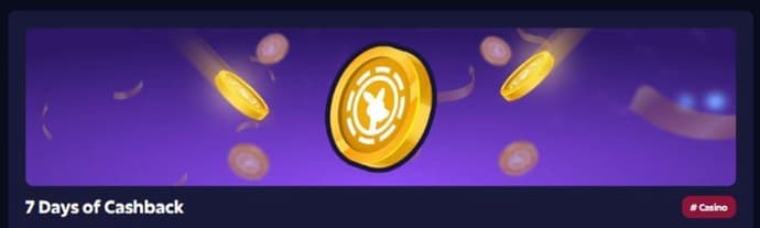Discover Roobet Promo Code