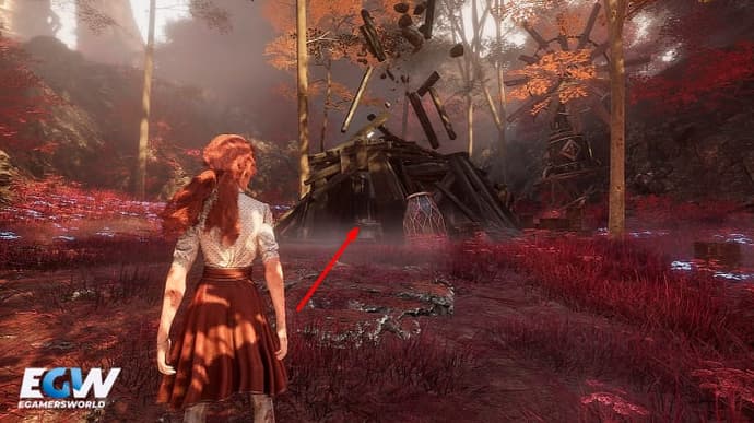 Clair Obscur: Expedition 33 Tint Guide — All Shards and Shapes Locations