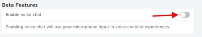 How to Enable Voice Chat in Roblox 2