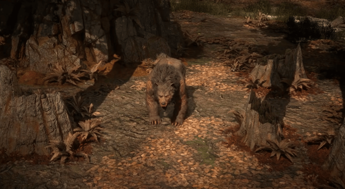 New PoE 2 Character Druid: Forms, Skills and Ascendancies 1