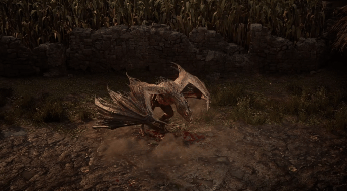 New PoE 2 Character Druid: Forms, Skills and Ascendancies 3