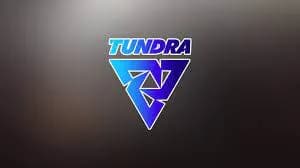 Tundra Esports became the 6th team that qualified for The International 2022. Photo 1