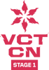 VCT 2025: China Stage 1 - Group Stage
