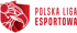 Polska Liga Esportowa 2022: Superpuchar