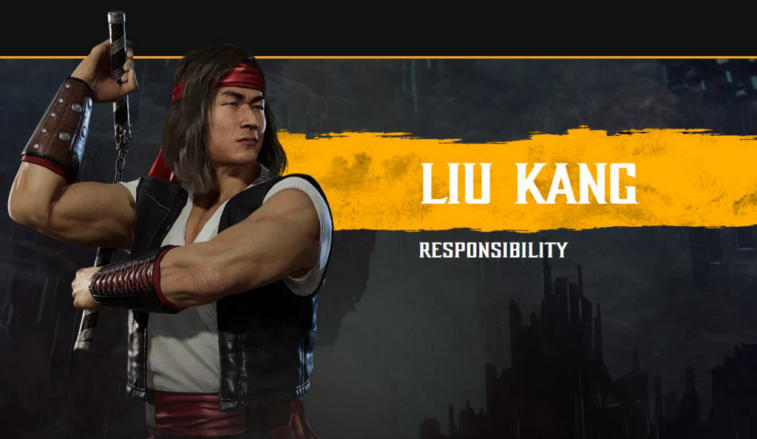 The Mains of the best MK11 Pros. Photo 2
