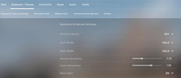 CS:GO mouse settings - sensitivity, resolution, pro-gamer settings. Photo 1