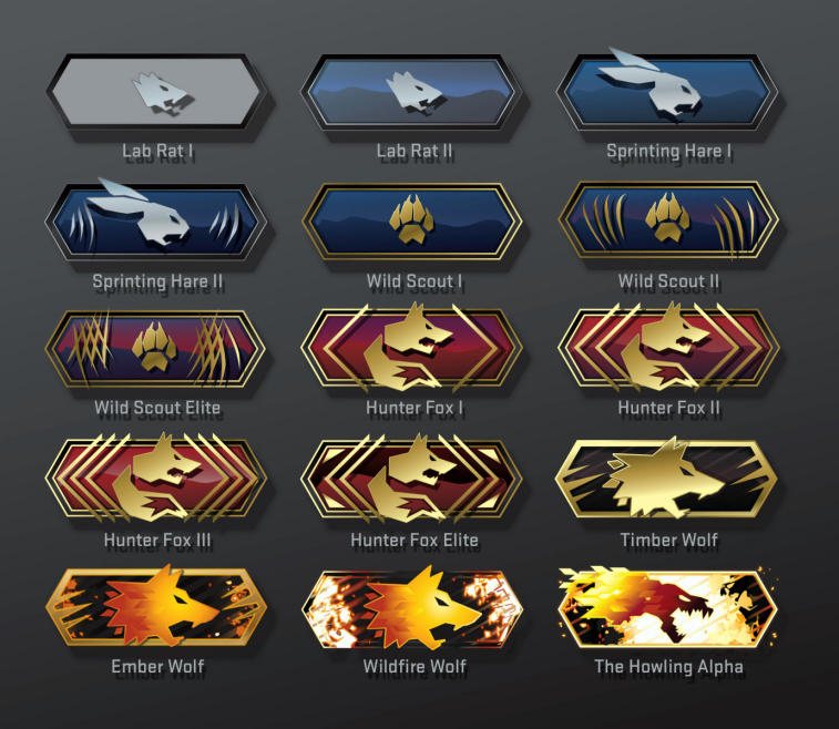 CSGO Ranks System. What are the CSGO ranks in order.