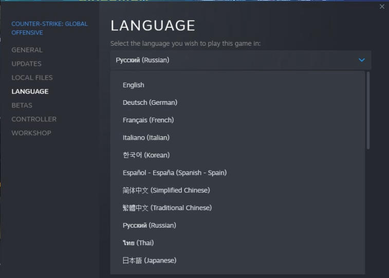 How To Change Language in CS:GO? - CS2 (CS:GO), Gaming Blog