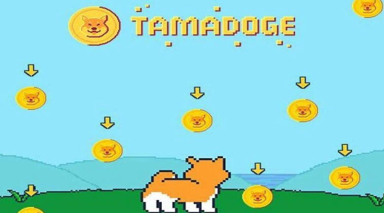 Tamadoge – uusi yritys hypettää Dogecoin tai loistava uutuus NFT- -pelien maailmassa?. Photo 1