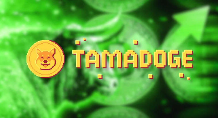 Tamadoge – uusi yritys hypettää Dogecoin tai loistava uutuus NFT- -pelien maailmassa?. Photo 3