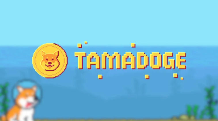 Tamadoge – ein weiterer Hype-Versuch um Dogecoin oder eine großartige Neuheit in der Welt der NFT- -Spiele?. Photo 4