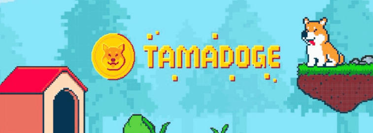 Tamadoge — une autre tentative de hype sur Dogecoin ou une grande nouveauté dans le monde des jeux NFT-  ?. Photo 5