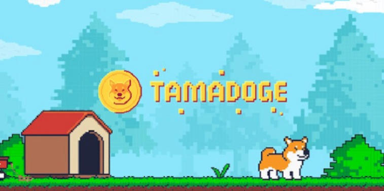 Tamadoge — une autre tentative de hype sur Dogecoin ou une grande nouveauté dans le monde des jeux NFT-  ?. Photo 7