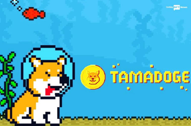 Tamadoge – ein weiterer Hype-Versuch um Dogecoin oder eine großartige Neuheit in der Welt der NFT- -Spiele?. Photo 8