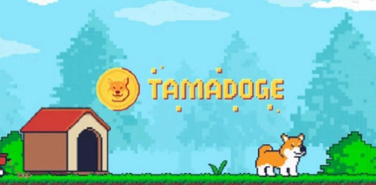 Is Tamadoge another attempt to hype around Dogecoin or a nice novelty in the world of NFT games?. Photo 7