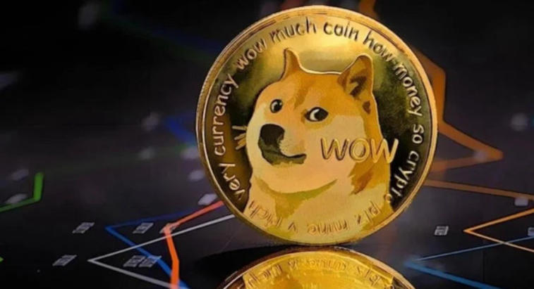 Why has Dogecoin grown 35% what awaits it in the future?. Photo 1