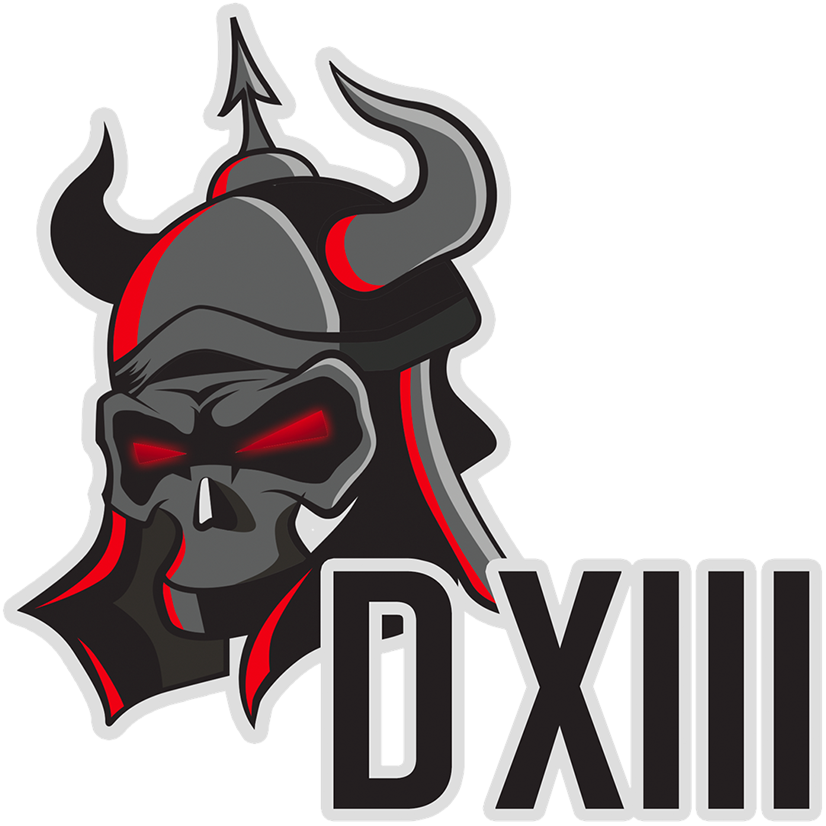 D13 D13