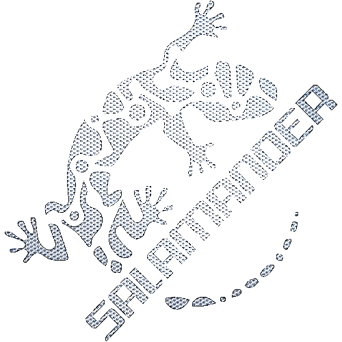 Salamander Salamander