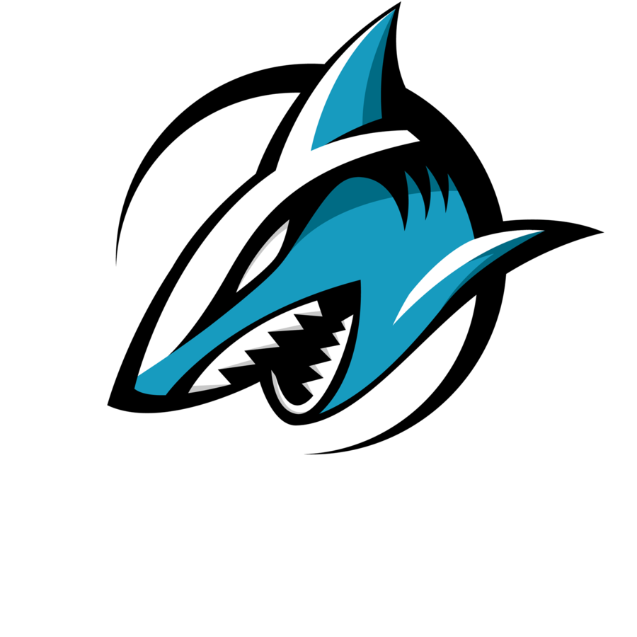 Speed gaming. Team adroit. Logo for Team Dota 2 free. Boom Team logo. Team logo PNG.