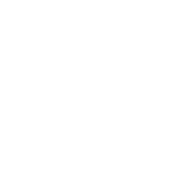 FURIA Esports FURIA Esports