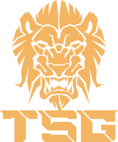 Triumphant Song Gaming Triumphant Song Gaming
