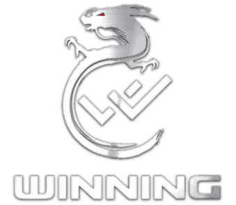 Winning Gaming (dota2) Winning Gaming (dota2)