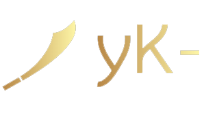 Yolo Knight Yolo Knight