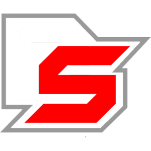 DS Gaming