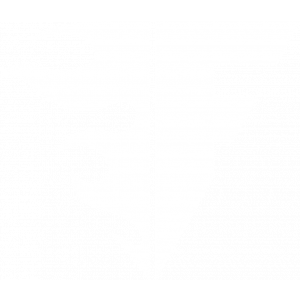 Copenhagen Flames (overwatch) Copenhagen Flames (overwatch)