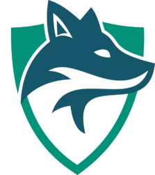 Seattle Skyfoxes (overwatch) Seattle Skyfoxes (overwatch)