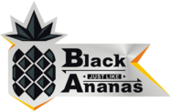 Black Ananas (pubg) Black Ananas (pubg)