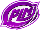 Purple Mood E-Sport (pubg) Purple Mood E-Sport (pubg)